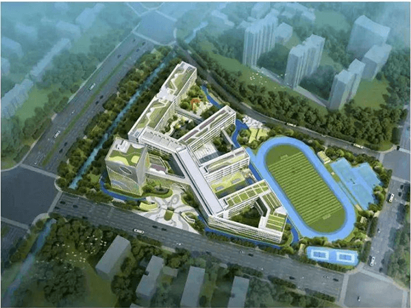 上城区采荷实验学校艮北校区